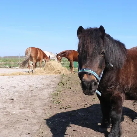 Hof Margarethental 別荘 *