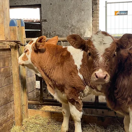 Hof Margarethental 別荘 *