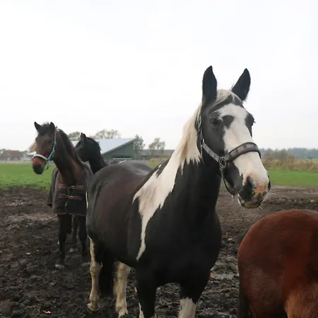 Hof Margarethental 別荘 *