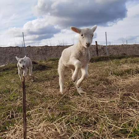 Hof Margarethental 別荘 *