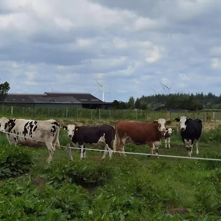 Hof Margarethental * Goldelund